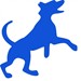 Area Kennels