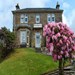 Beechgrove Guest House - Oban