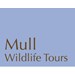 Mull Wildlife Tours