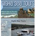 Gigha Sea Tours
