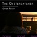 The Oystercatcher 