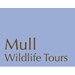 Mull Wildlife Tours 